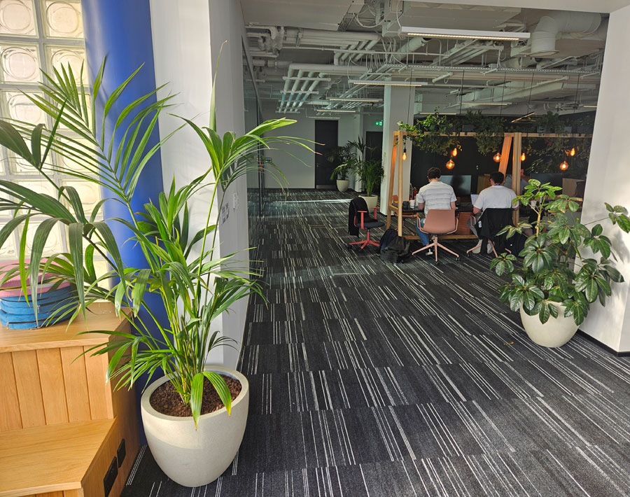 Plant Design Maintenance Services for Facilities Cork