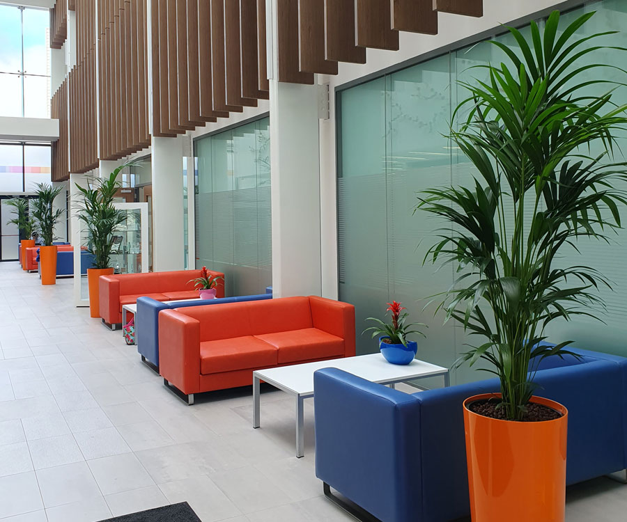 Plant Design Maintenance Services for Facilities Cork