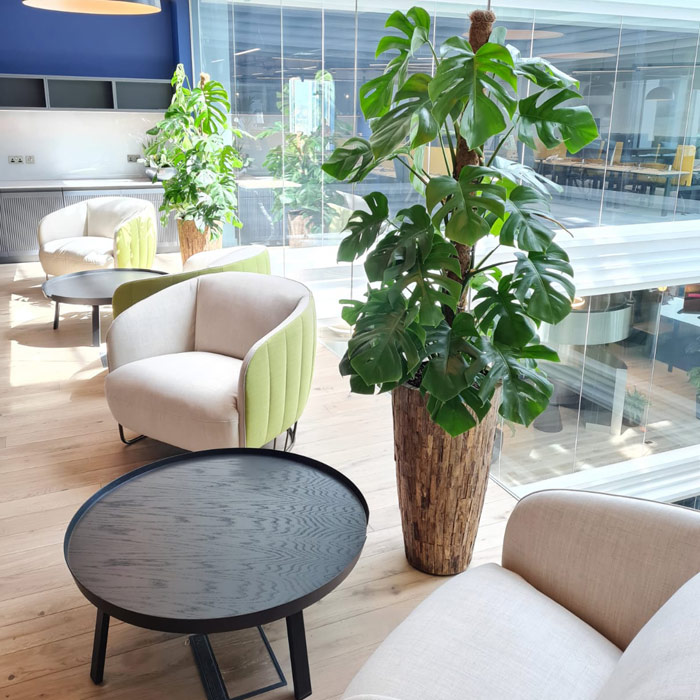 Plant Design Maintenance Services for Facilities Cork